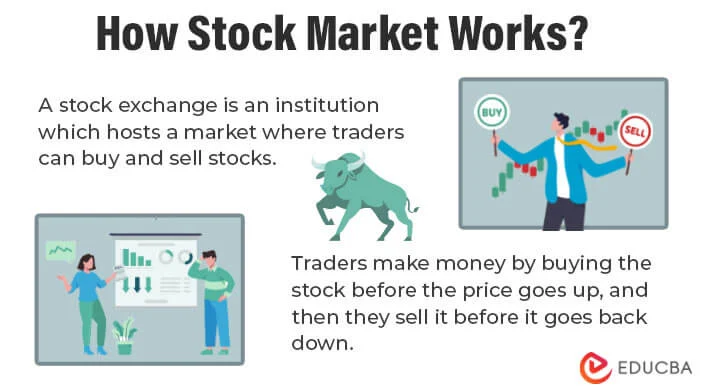 How Does the Stock Market Work?