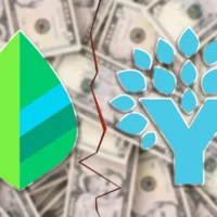 Mint vs. YNAB in 2025