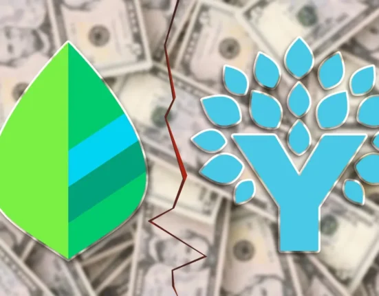 Mint vs. YNAB in 2025